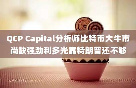 QCP Capital分析师比特币大牛市尚缺强劲利多光靠特朗普还不够