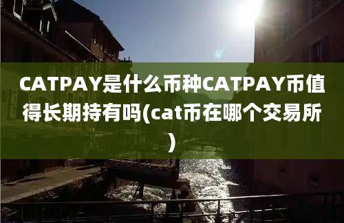 CATPAY是什么币种CATPAY币值得长期持有吗(cat币在哪个交易所)