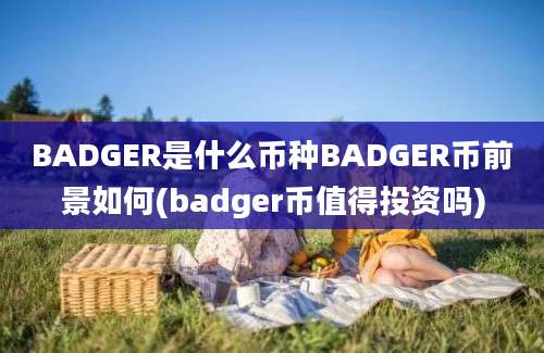 BADGER是什么币种BADGER币前景如何(badger币值得投资吗)