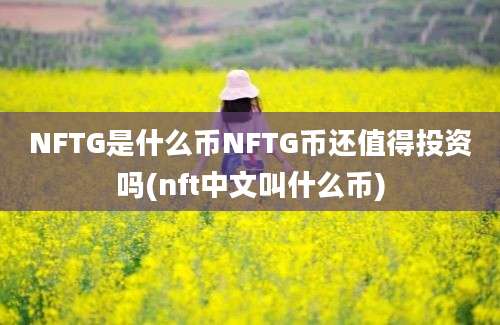 NFTG是什么币NFTG币还值得投资吗(nft中文叫什么币)