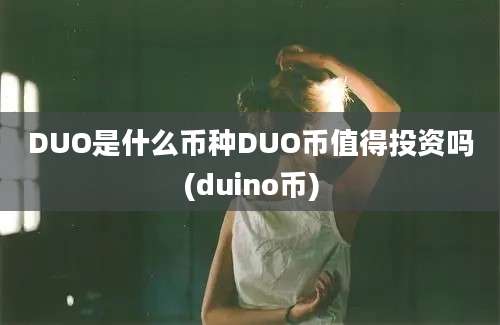 DUO是什么币种DUO币值得投资吗(duino币)