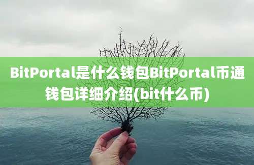 BitPortal是什么钱包BitPortal币通钱包详细介绍(bit什么币)