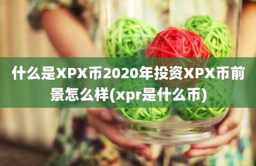 什么是XPX币2020年投资XPX币前景怎么样(xpr是什么币)