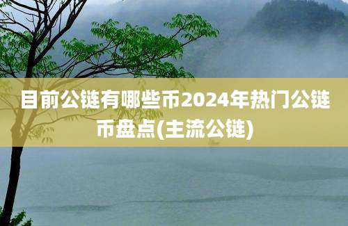 目前公链有哪些币2024年热门公链币盘点(主流公链)