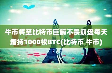 牛市将至比特币巨鲸不畏崩盘每天增持1000枚BTC(比特币 牛市)