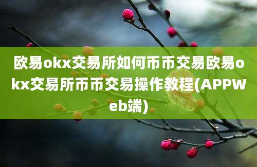 欧易okx交易所如何币币交易欧易okx交易所币币交易操作教程(APPWeb端)