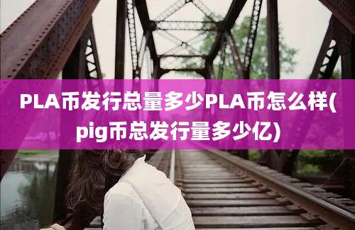 PLA币发行总量多少PLA币怎么样(pig币总发行量多少亿)