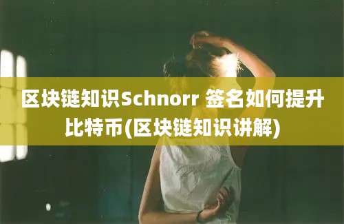 区块链知识Schnorr 签名如何提升比特币(区块链知识讲解)