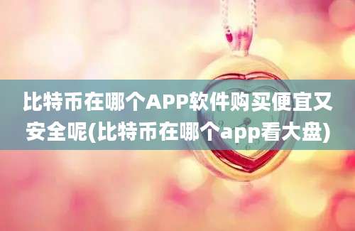 比特币在哪个APP软件购买便宜又安全呢(比特币在哪个app看大盘)