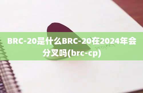 BRC-20是什么BRC-20在2024年会分叉吗(brc-cp)