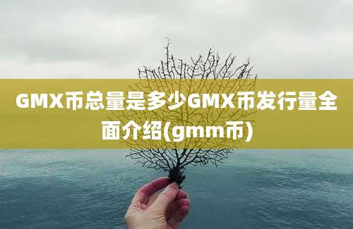 GMX币总量是多少GMX币发行量全面介绍(gmm币)