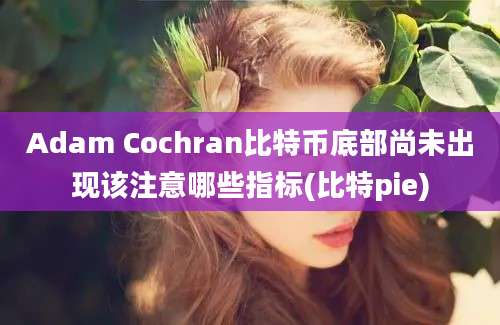 Adam Cochran比特币底部尚未出现该注意哪些指标(比特pie)