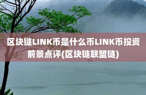 区块链LINK币是什么币LINK币投资前景点评(区块链联盟链)