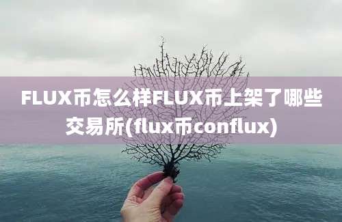 FLUX币怎么样FLUX币上架了哪些交易所(flux币conflux)