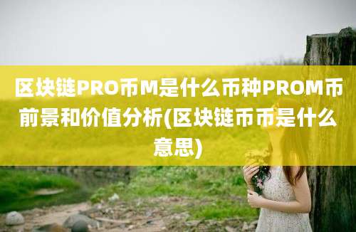 区块链PRO币M是什么币种PROM币前景和价值分析(区块链币币是什么意思)