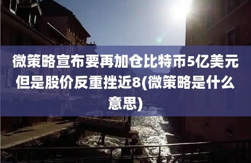 微策略宣布要再加仓比特币5亿美元但是股价反重挫近8(微策略是什么意思)