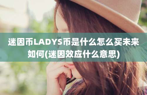 迷因币LADYS币是什么怎么买未来如何(迷因效应什么意思)