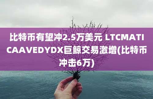 比特币有望冲2.5万美元 LTCMATICAAVEDYDX巨鲸交易激增(比特币冲击6万)