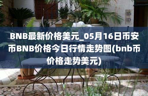 BNB最新价格美元_05月16日币安币BNB价格今日行情走势图(bnb币价格走势美元)