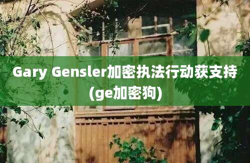 Gary Gensler加密执法行动获支持(ge加密狗)