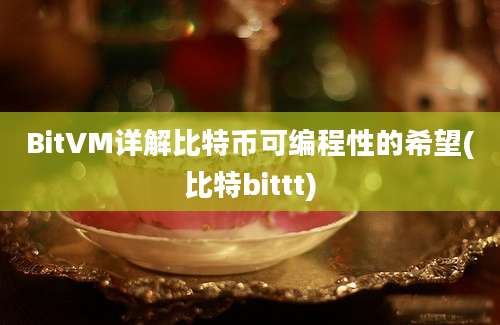 BitVM详解比特币可编程性的希望(比特bittt)