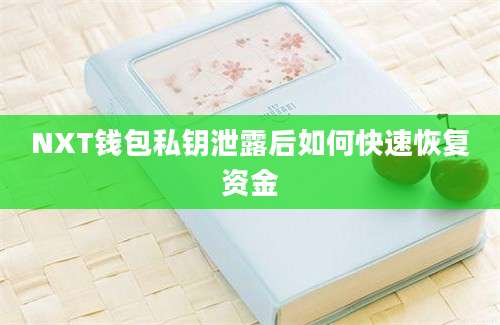 NXT钱包私钥泄露后如何快速恢复资金