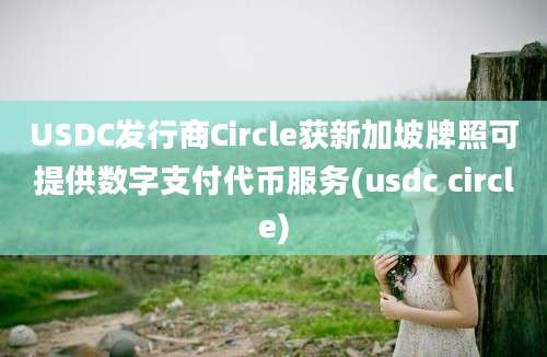 USDC发行商Circle获新加坡牌照可提供数字支付代币服务(usdc circle)