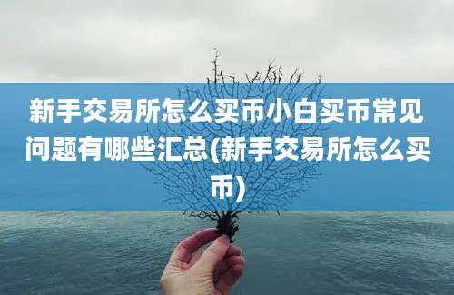 新手交易所怎么买币小白买币常见问题有哪些汇总(新手交易所怎么买币)