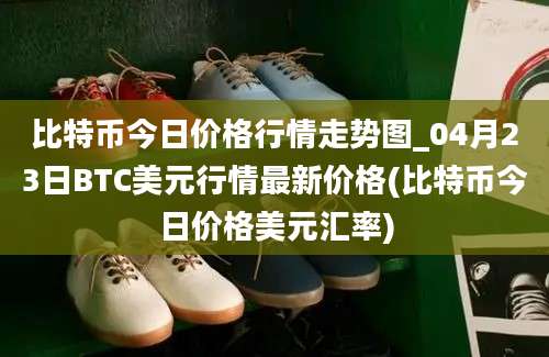 比特币今日价格行情走势图_04月23日BTC美元行情最新价格(比特币今日价格美元汇率)