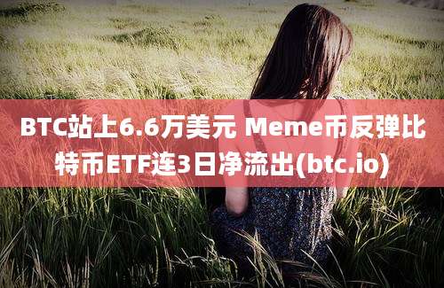 BTC站上6.6万美元 Meme币反弹比特币ETF连3日净流出(btc.io)