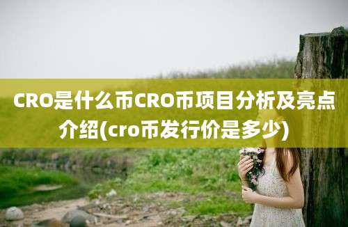 CRO是什么币CRO币项目分析及亮点介绍(cro币发行价是多少)