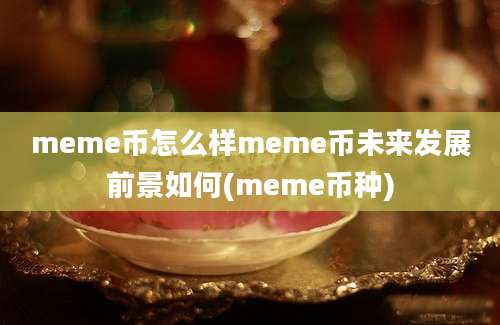 meme币怎么样meme币未来发展前景如何(meme币种)