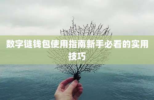 数字链钱包使用指南新手必看的实用技巧