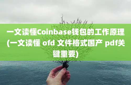 一文读懂Coinbase钱包的工作原理(一文读懂 ofd 文件格式国产 pdf关键重要)