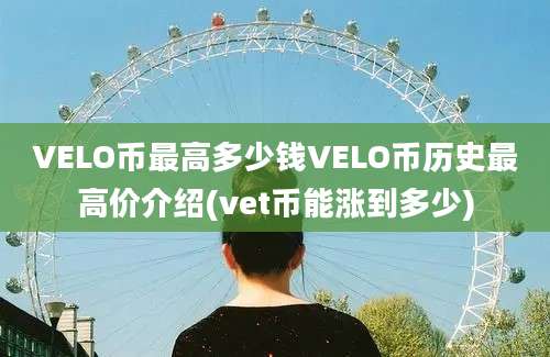 VELO币最高多少钱VELO币历史最高价介绍(vet币能涨到多少)