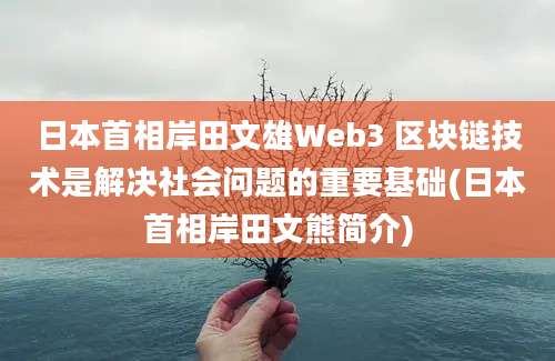 日本首相岸田文雄Web3 区块链技术是解决社会问题的重要基础(日本首相岸田文熊简介)