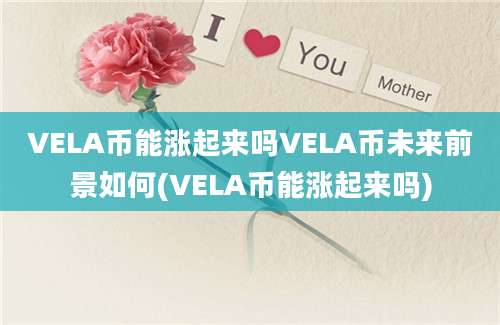 VELA币能涨起来吗VELA币未来前景如何(VELA币能涨起来吗)