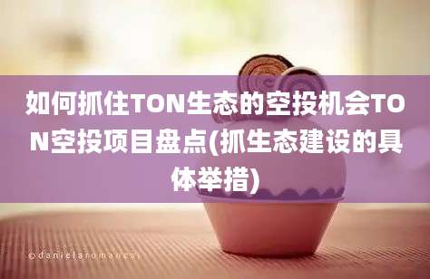 如何抓住TON生态的空投机会TON空投项目盘点(抓生态建设的具体举措)