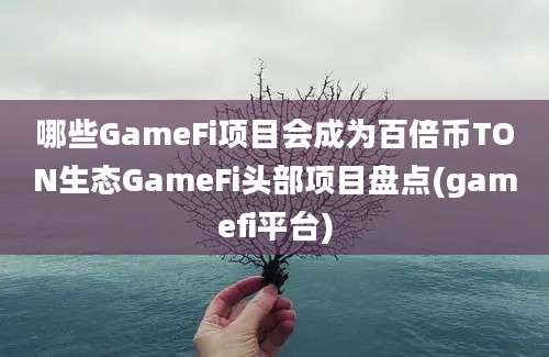 哪些GameFi项目会成为百倍币TON生态GameFi头部项目盘点(gamefi平台)