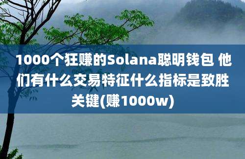 1000个狂赚的Solana聪明钱包 他们有什么交易特征什么指标是致胜关键(赚1000w)