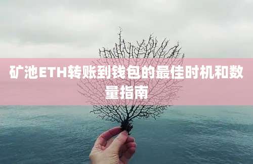 矿池ETH转账到钱包的最佳时机和数量指南