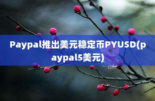 Paypal推出美元稳定币PYUSD(paypal5美元)