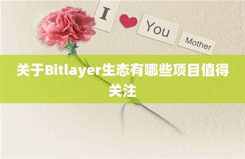 关于Bitlayer生态有哪些项目值得关注