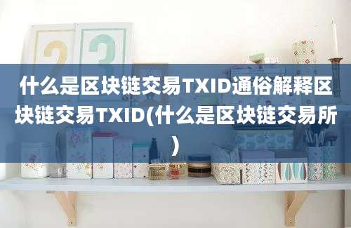 什么是区块链交易TXID通俗解释区块链交易TXID(什么是区块链交易所)