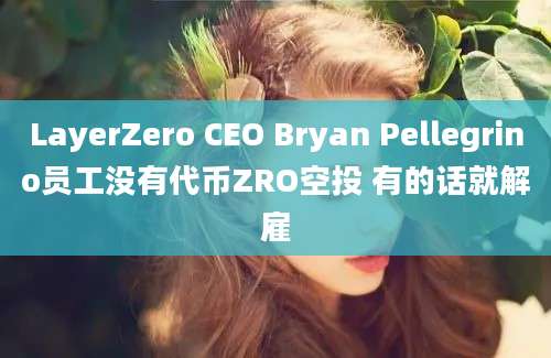 LayerZero CEO Bryan Pellegrino员工没有代币ZRO空投 有的话就解雇