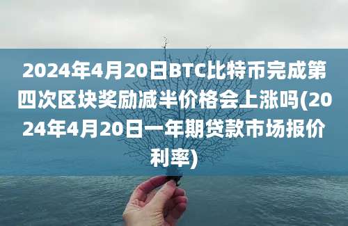 2024年4月20日BTC比特币完成第四次区块奖励减半价格会上涨吗(2024年4月20日一年期贷款市场报价利率)