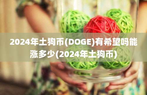 2024年土狗币(DOGE)有希望吗能涨多少(2024年土狗币)