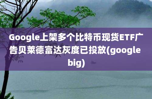 Google上架多个比特币现货ETF广告贝莱德富达灰度已投放(google big)