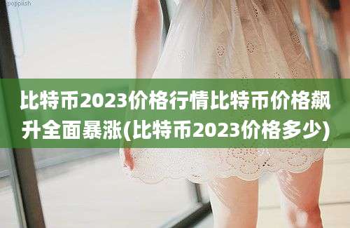 比特币2023价格行情比特币价格飙升全面暴涨(比特币2023价格多少)