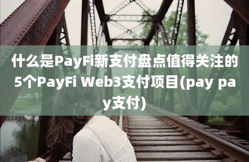 什么是PayFi新支付盘点值得关注的5个PayFi Web3支付项目(pay pay支付)